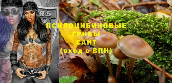 не бодяженный Абдулино