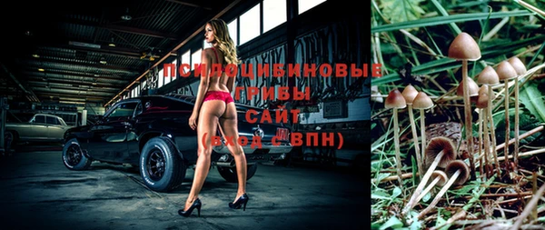 гашик Аркадак