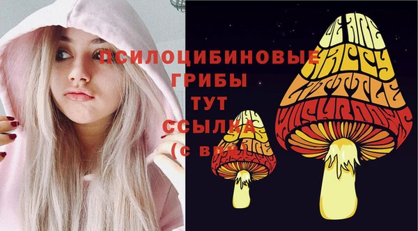 гидропоника Абинск