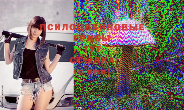 mdpv Алексин